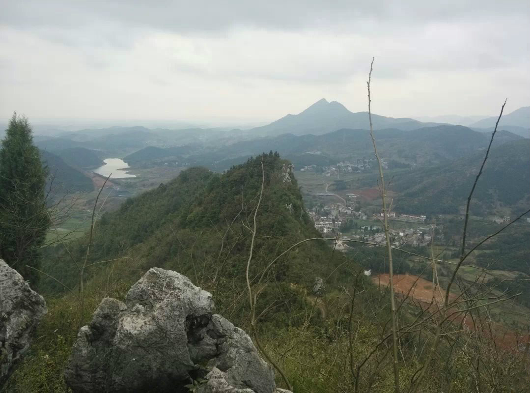 泉塘村(江西省宜春市袁州區三陽鎮泉塘村)