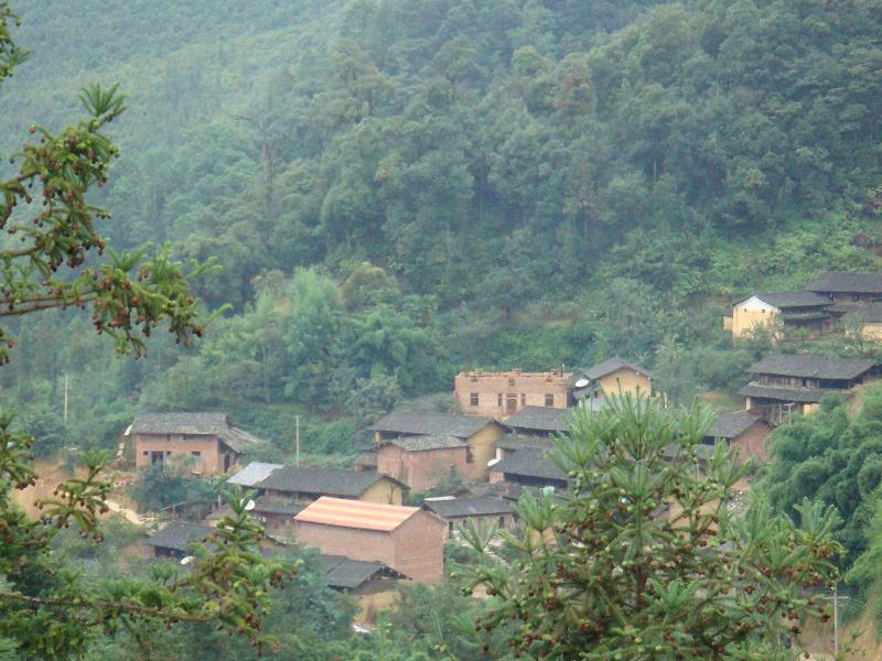 秧田沖自然村(雲南廣南縣黑支果鄉下轄村)