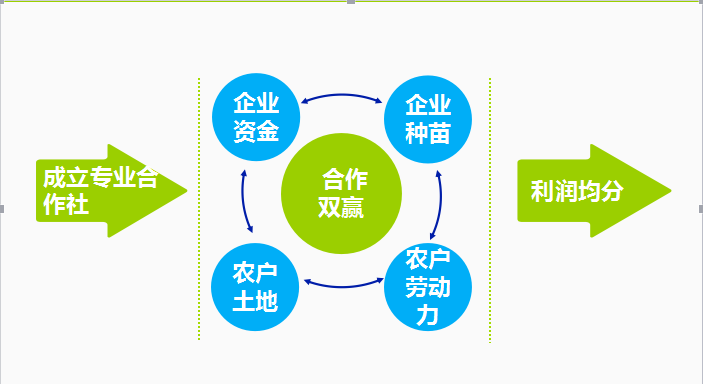 福建省新九龍生態農業發展有限公司