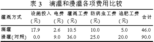 西瓜滴灌技術