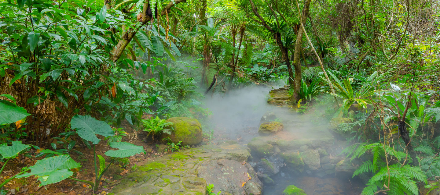 深圳市中國科學院仙湖植物園