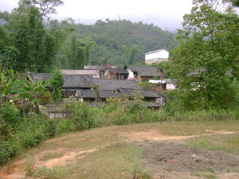 茶園自然村(雲南臨翔區邦東鄉下轄村)