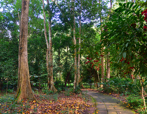 中國科學院西雙版納熱帶植物園