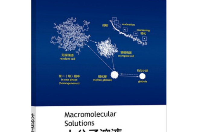 大分子溶液(高等教育出版社出版圖書)