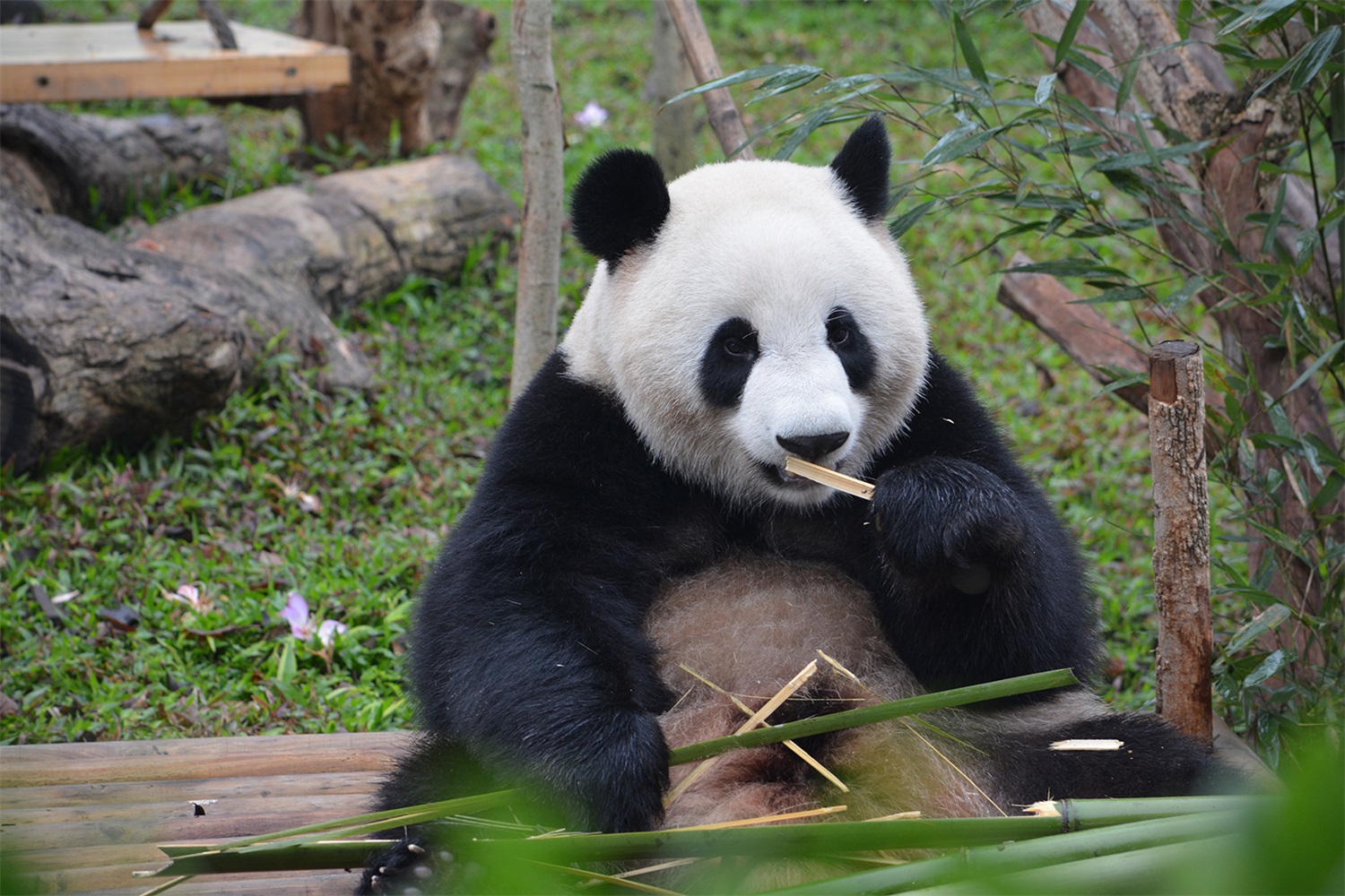 南寧動物園