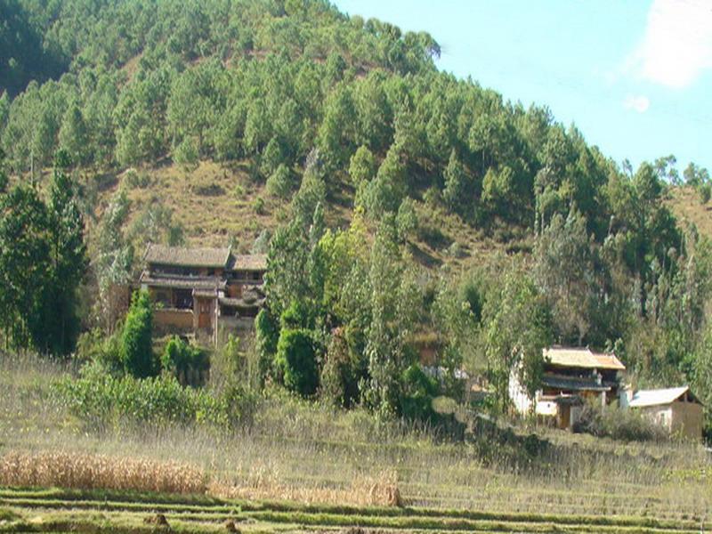 河東自然村(雲南普洱景谷縣永平鎮芒臘村委會河東自然村)