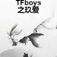 TFboys之玖愛