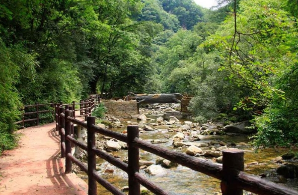 陝西嘉陵江源國家森林公園