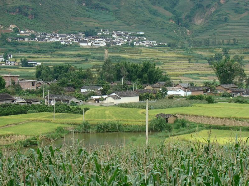 松林自然村(雲南省保山昌寧縣漭水鎮沿江村委松林自然村)