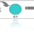 固體分散技術