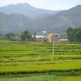 岔河自然村(雲南省大理巍山縣南詔鎮岔河自然村)