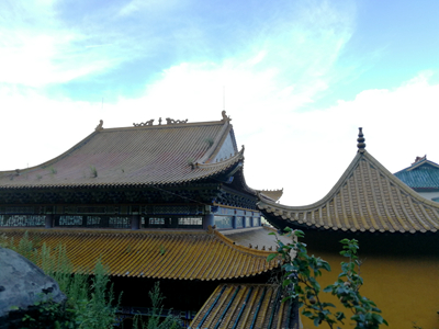 鹿苑寺(岳陽縣鹿苑寺)