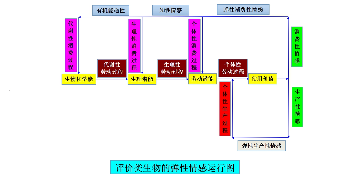 彈性情感