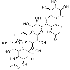 唾液酸化酶X