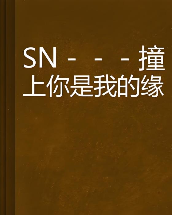 SN-撞上你是我的緣