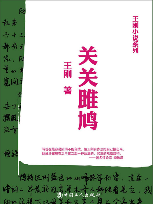 王剛小說系列：關關雎鳩