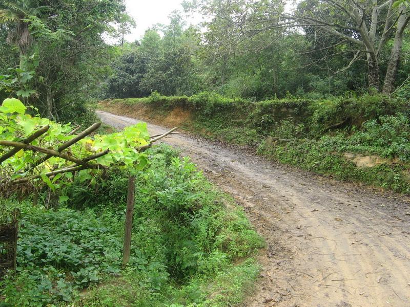 八丘田村村內道路