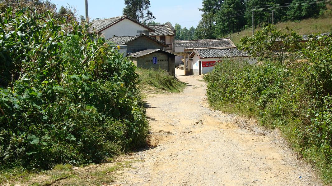 進村道路