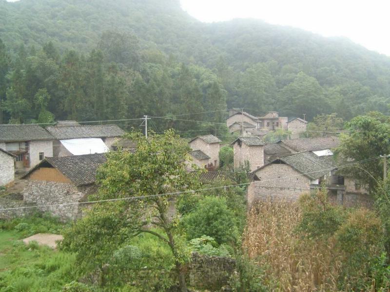 羅作村(雲南曲靖市羅平縣大水井鄉下轄村)