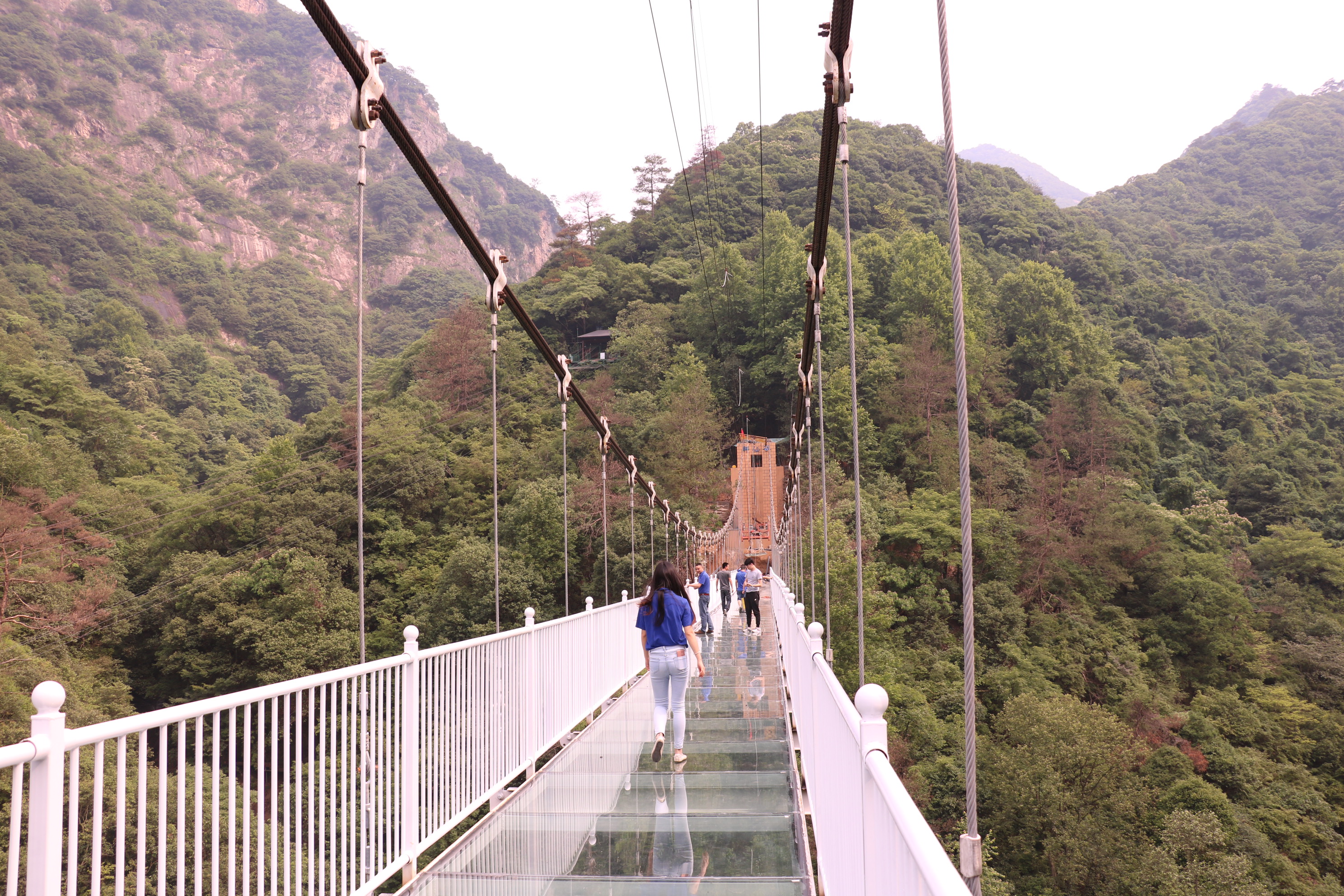 醉山野玻璃橋