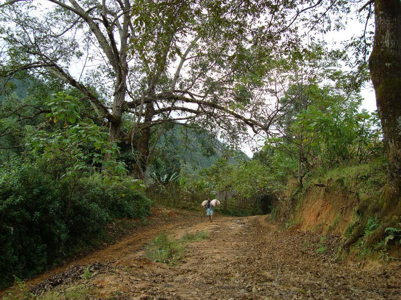 蒙化寨村