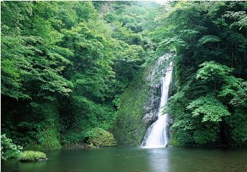 秦嶺廟溝村風景