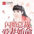 寵妻狂魔：閃婚總裁愛妻如命