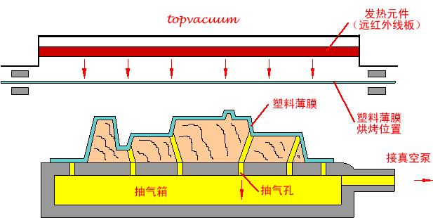 V法造型線