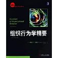 組織行為學精要(2003年4月機械工業出版社出版的圖書)