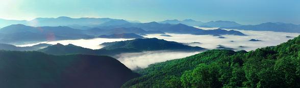 崗山國家森林公園全貌