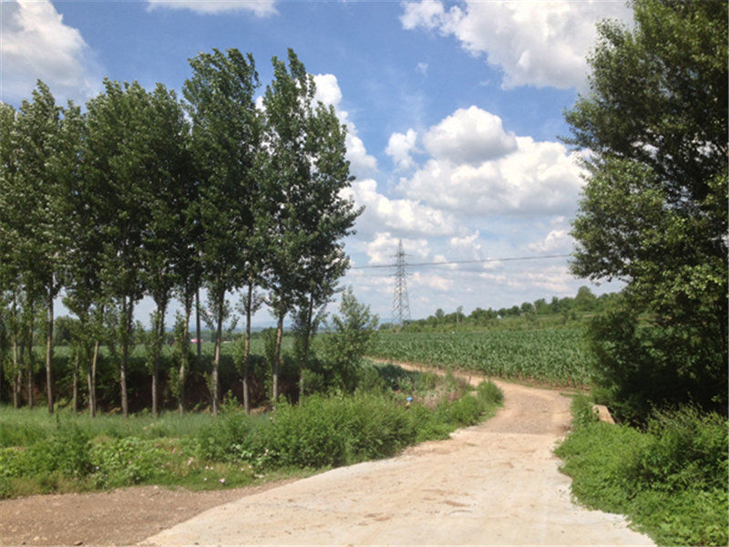 何家窩鋪村(遼寧省朝陽市朝陽縣七道嶺鄉何家窩鋪村)