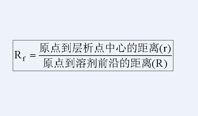 Rf值的計算公式