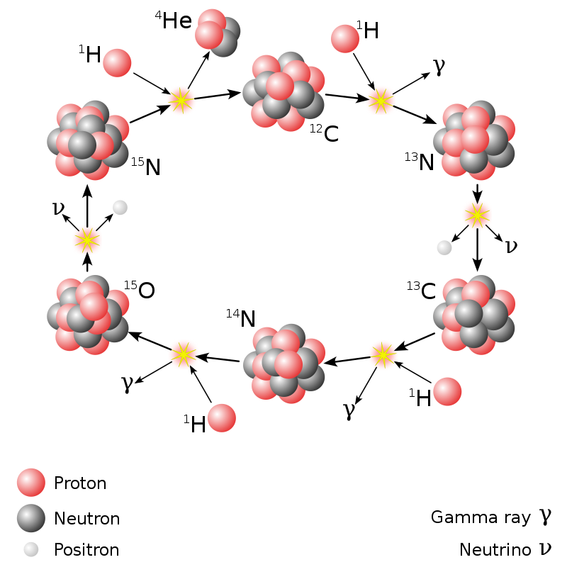 碳氮氧循環(碳-氮-氧循環)