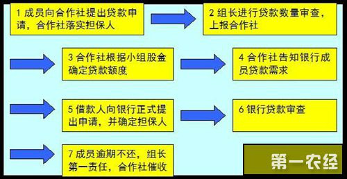 農村信用合作聯社(農村信用聯社)