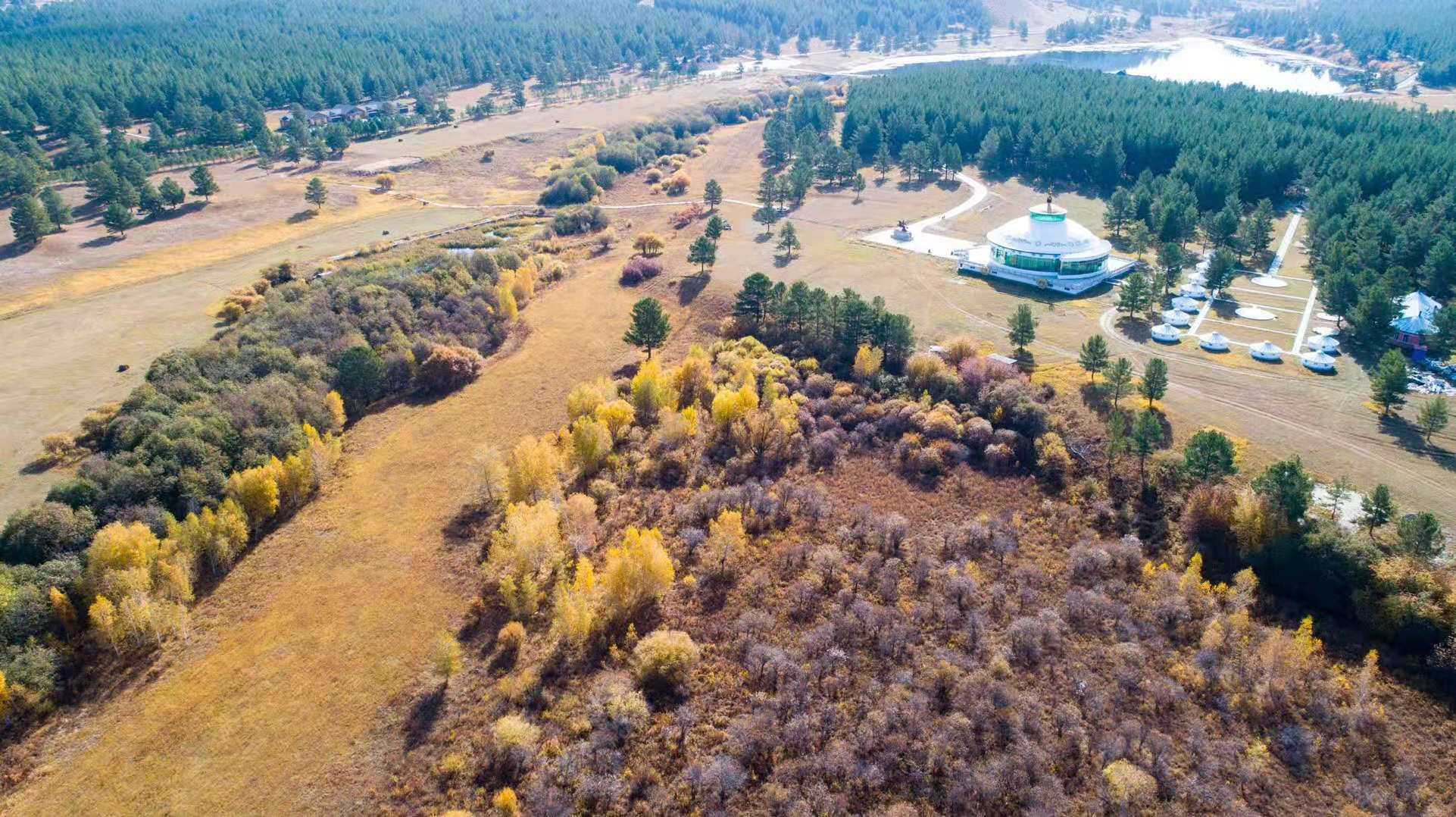 內蒙古紅花爾基樟子松國家森林公園(紅花爾基森林公園)