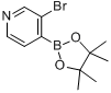3-溴吡啶-4-硼酸頻哪酯