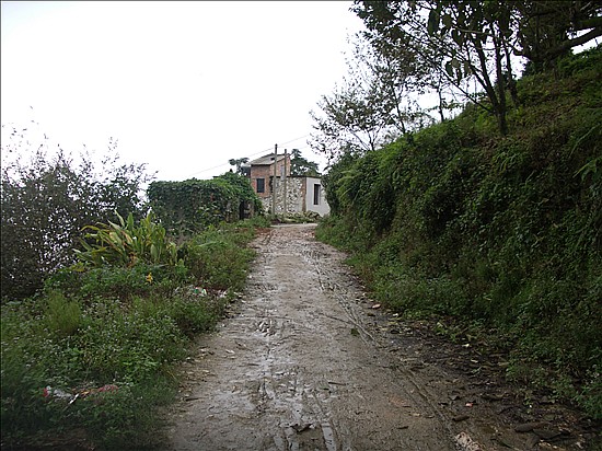 進出鄉街的小路