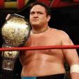 薩摩亞·喬(Samoa Joe)