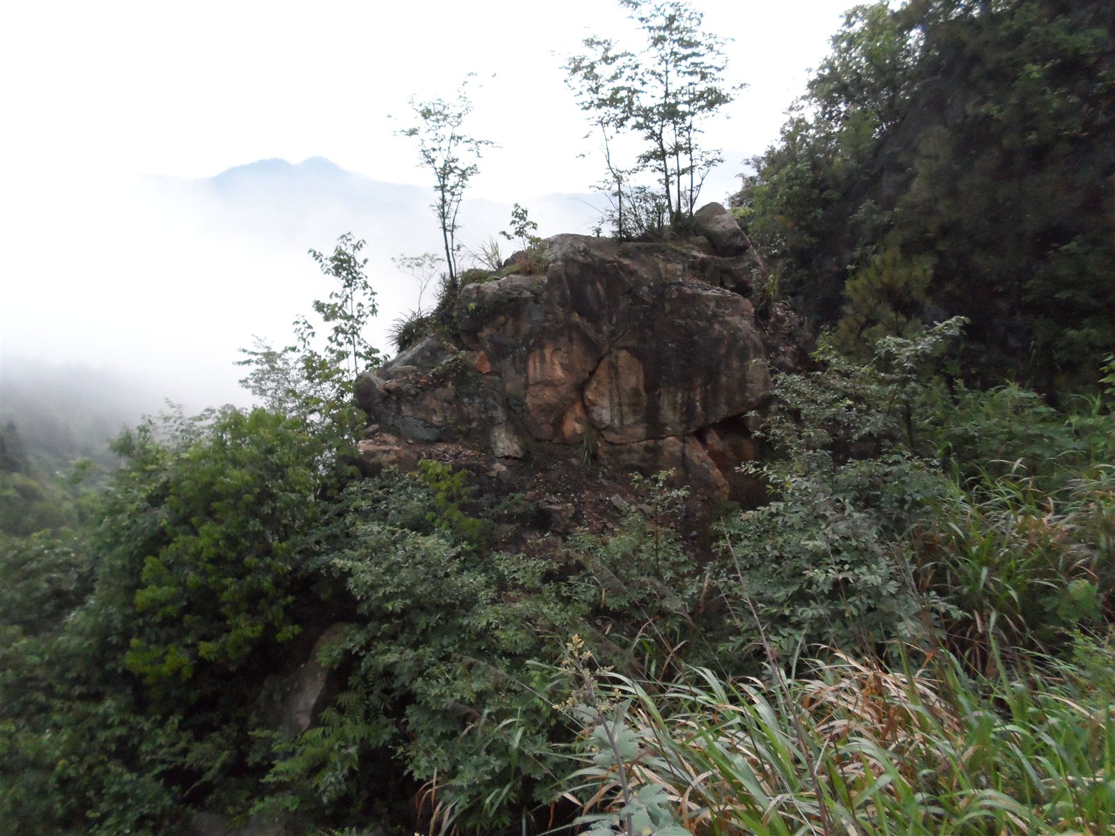 坳上自然村(雲南省昭通威信縣三桃鄉三桃村委坳上自然村)