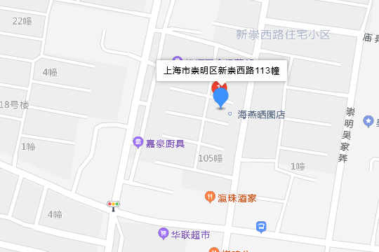 新崇西路113號