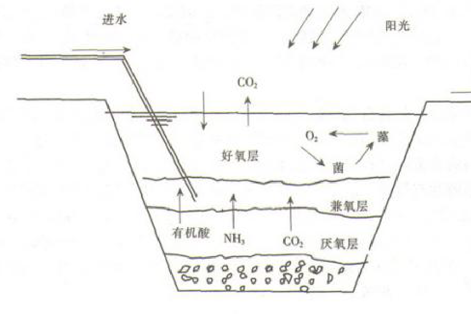 間歇排放塘