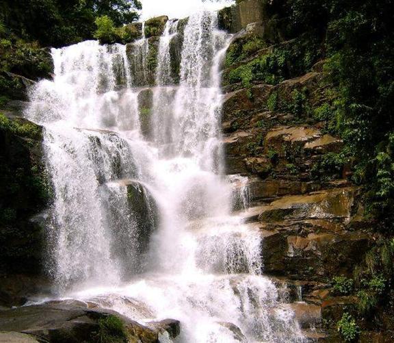 法雨懸河