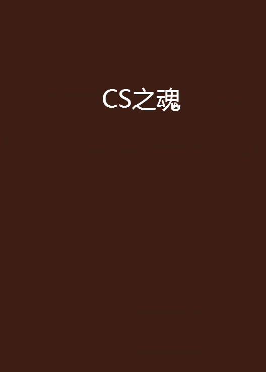 CS之魂