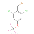 2,6-二氯-4-（三氟甲氧基）苄基溴