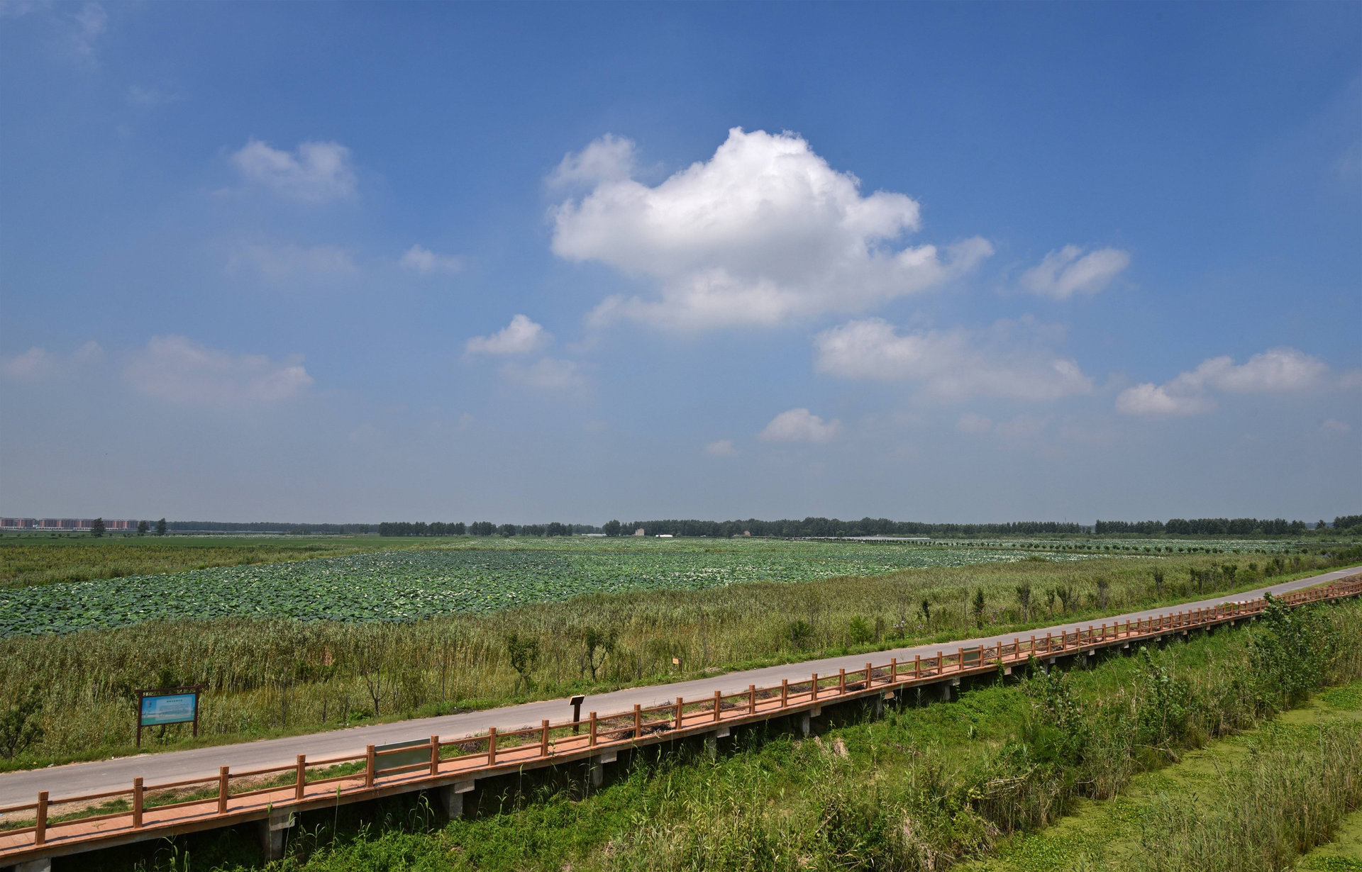 安徽三汊河國家濕地公園(三汊河國家濕地公園)