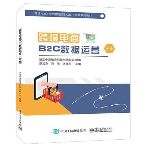 跨境電商B2C數據運營