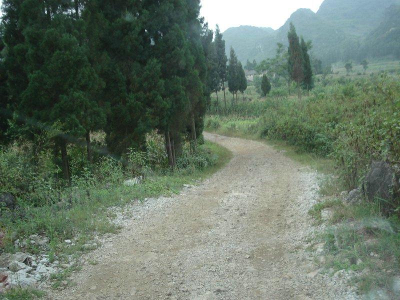 進村道路