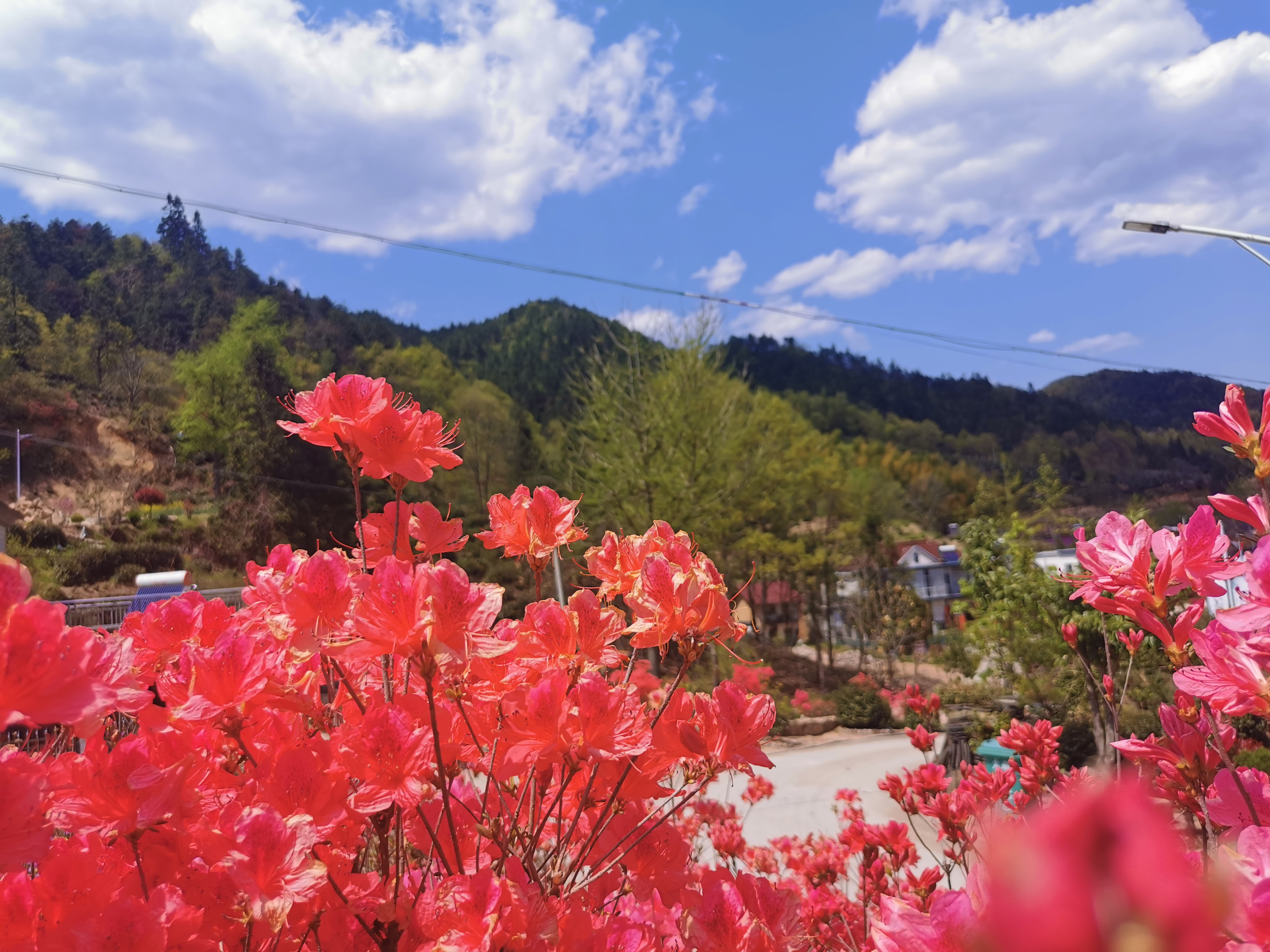 大歇嶺文旅區