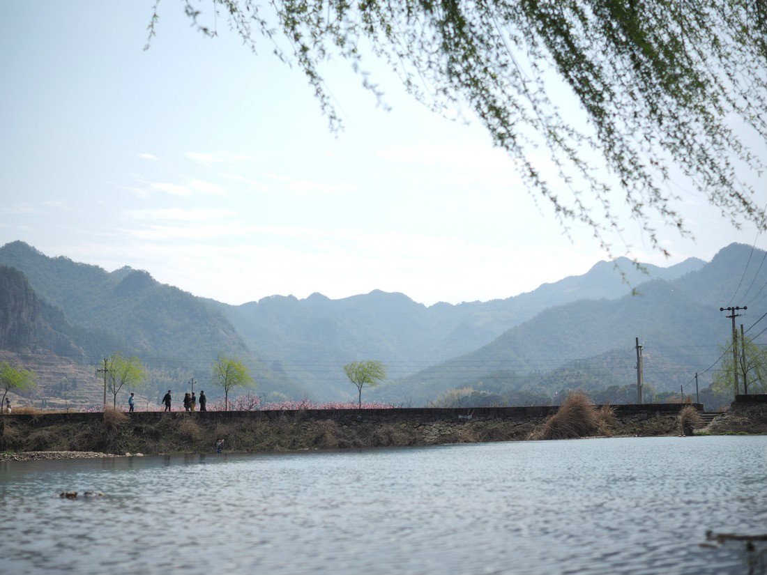 天台縣後岸村