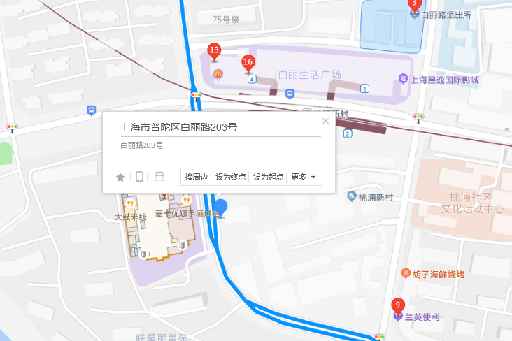 白麗路203號